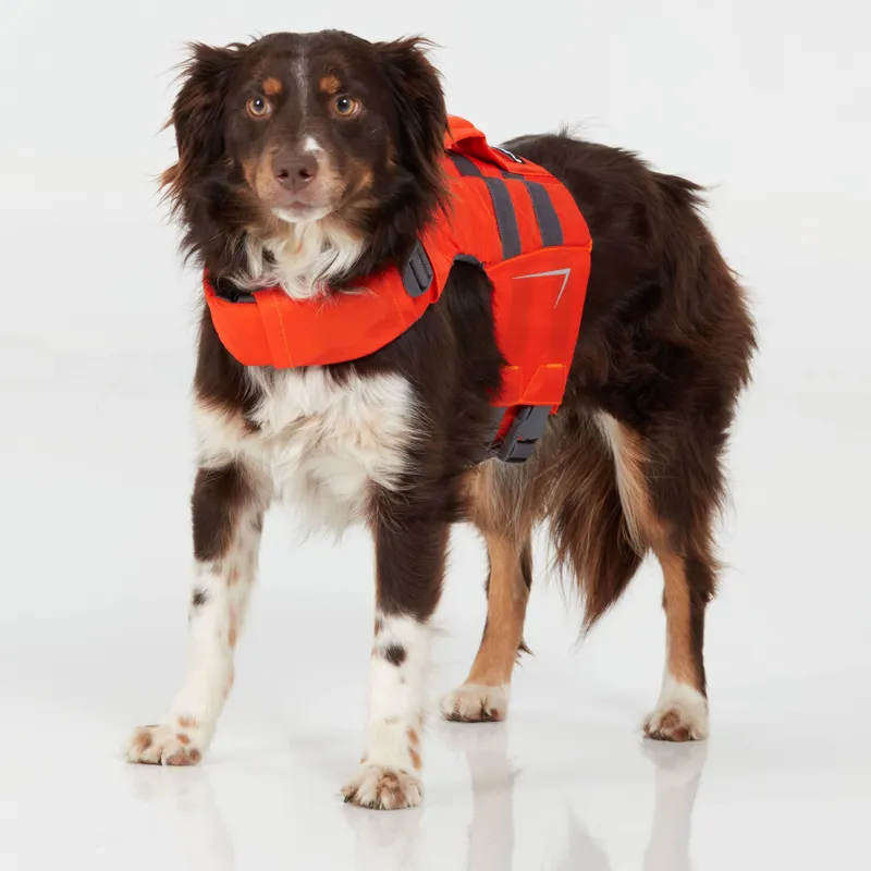 2025 Canine Floatation Device Dog Life Jacket in Orange-1
