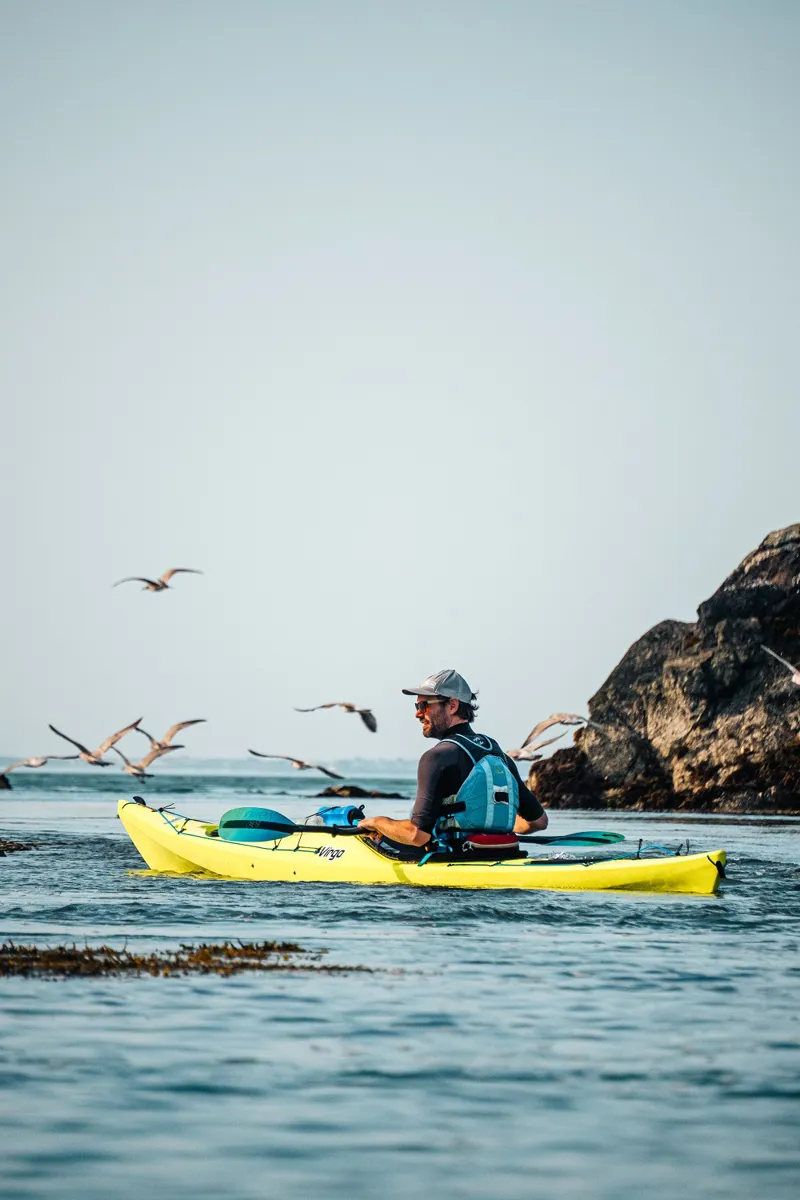 2024 P and H Virgo Compact MZ3 Sea Kayak with Skeg in Lizard Green-3