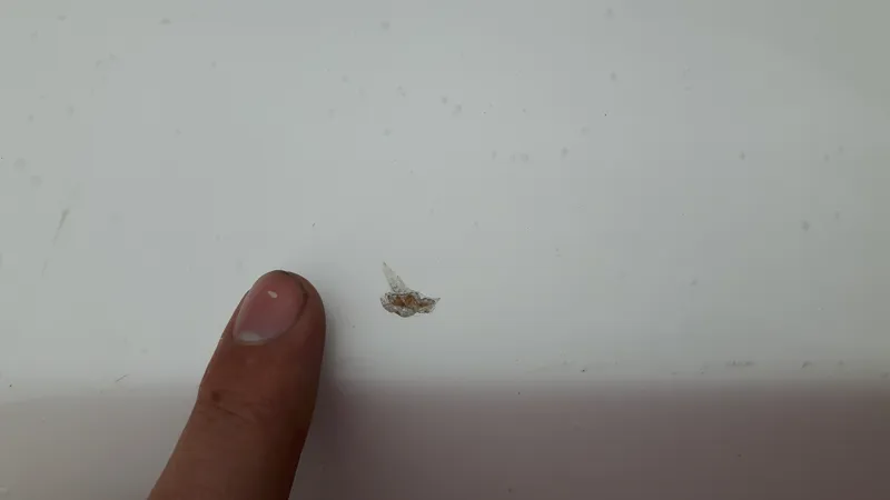 Composite Easky 15 - Display-5