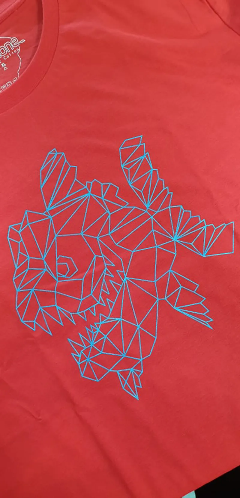 2021 dewerstone x Pyranha Chile Red Geofish T Shirt-1