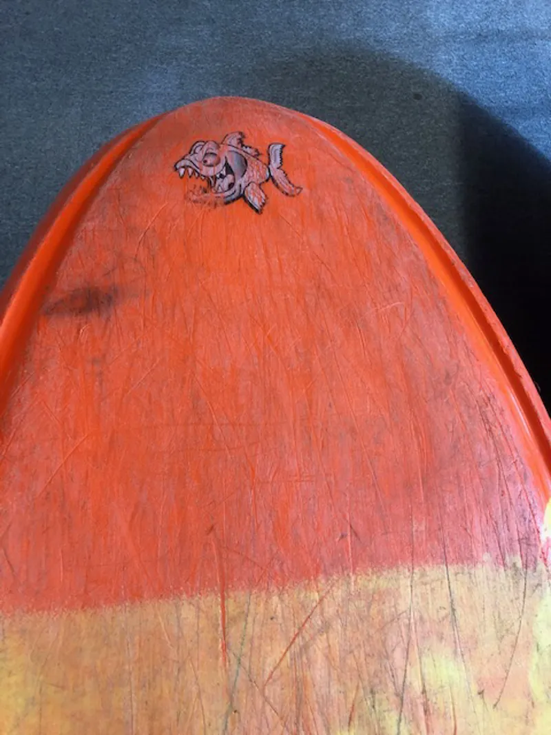 Part-Ex Pyranha Molan Jaffa/Yellow-4