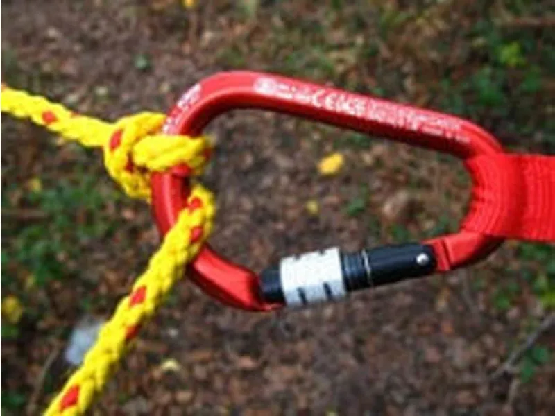 2023 Whetman Equipment HMS Paddle Karabiner Screwgate-2